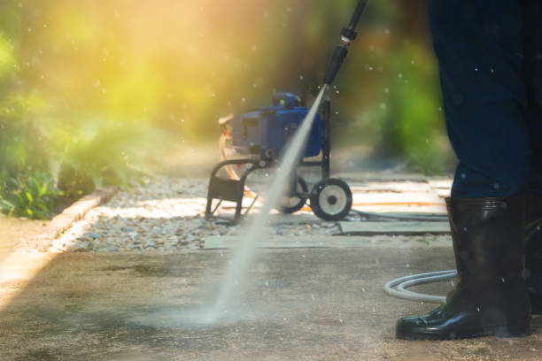 Animal Enclosure Cleaning in Rocky River, OH
